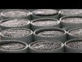 Sustainability and Coffee Production Quiz