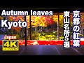 4K 京都の紅葉 JAPAN  Autumn Leaves Kyoto 京都観光 旅行 清水寺 東福寺 永観堂  圓光寺 Travel