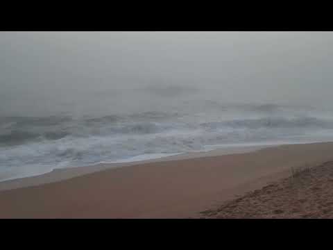 Beautiful Foggy Morning January 25 2024 filmed in #8k