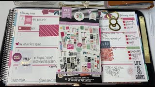 Erin Condren lifeplanner | plan with me | The Happy Planner color story stickers