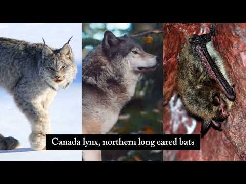 Help us fight this unlawful investigation against the Center