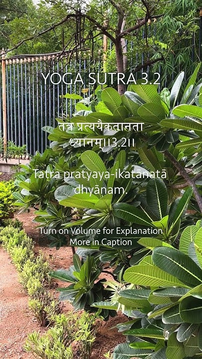 yoga-sutra-chapter-3-verse-2-deepening-meditation-sustained-focus