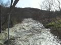 Aventino Torrent