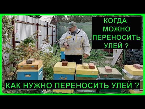 📗 Когда перестановка улья не нанесёт вреда пчёлам 📗