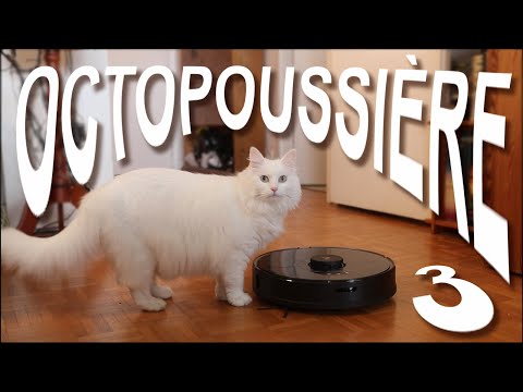 OCTOPOUSSIÈRE 3 - PAROLE DE CHAT