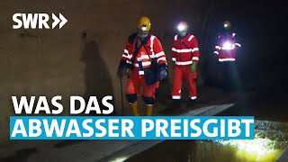 Die Kloakendetektive  Geheimnisse unseres Abwassers | SWR Wissen