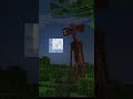 Some minecraft scary entities😱
