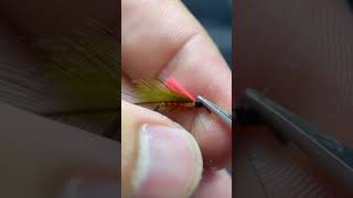 Cdc sedge #flyfishing #dryfly #casting #fishing #flyfishing