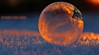 Winter Magic