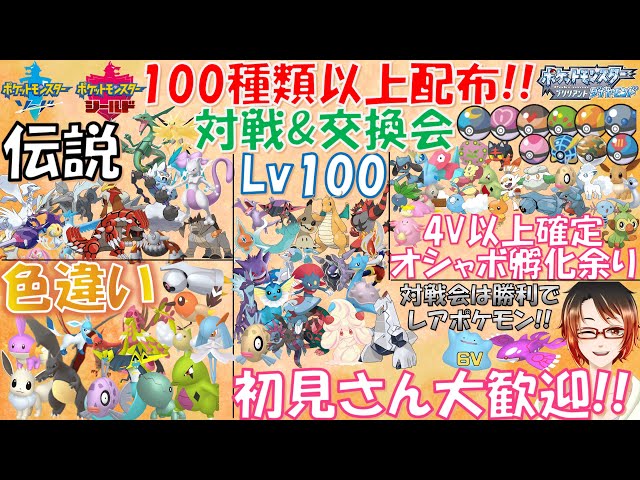 初見様歓迎 参加型配布会中 ポケモン剣盾 100種以上のオシャボ孵化余り Lv100多数 伝説交換 対戦会 概要欄必読 対戦勝てば色違い 育成済 6v海外メタモン等配布 Youtube