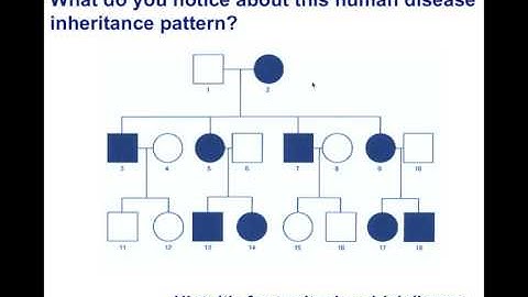 Unit 12 Extranuclear Inheritance