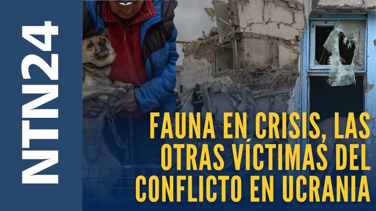 Especial Clic Verde |  Fauna en crisis, las otras víctimas del conflicto en Ucrania