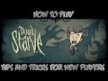 How To Play - Don't Starve - The Basics