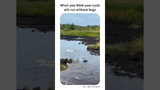 Developers code vs bugs 😂 #developermemes #codingmemes #funny #comedy #Programmingmemes