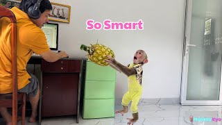 Monkey Kyo’s Smart Move to Get Dad’s Help – You Won’t Believe the Result!