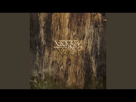 Not Your Lover - Blitzen Trapper