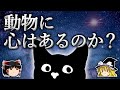 動物に感情は存在するのか?【ゆっくり解説】