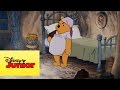 Mini aventuras de Winnie the Pooh - Efelantes y Wartas