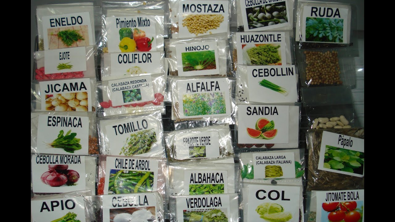 GENERA TUS PROPIAS SEMILLAS