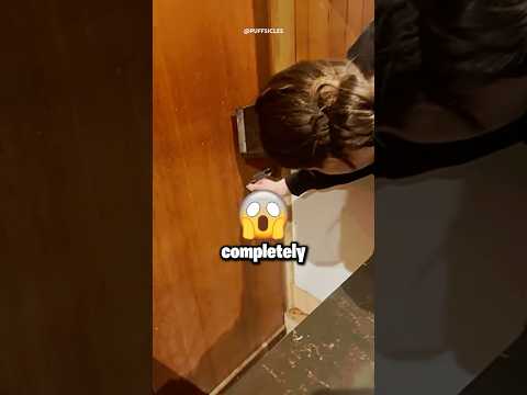 تحدي الفلتر