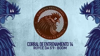 Corral De Entrenamiento 14 - Contador De Freestyle