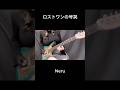 ロストワンの号哭　弾いてみた　Neru #ギター女子 #cover