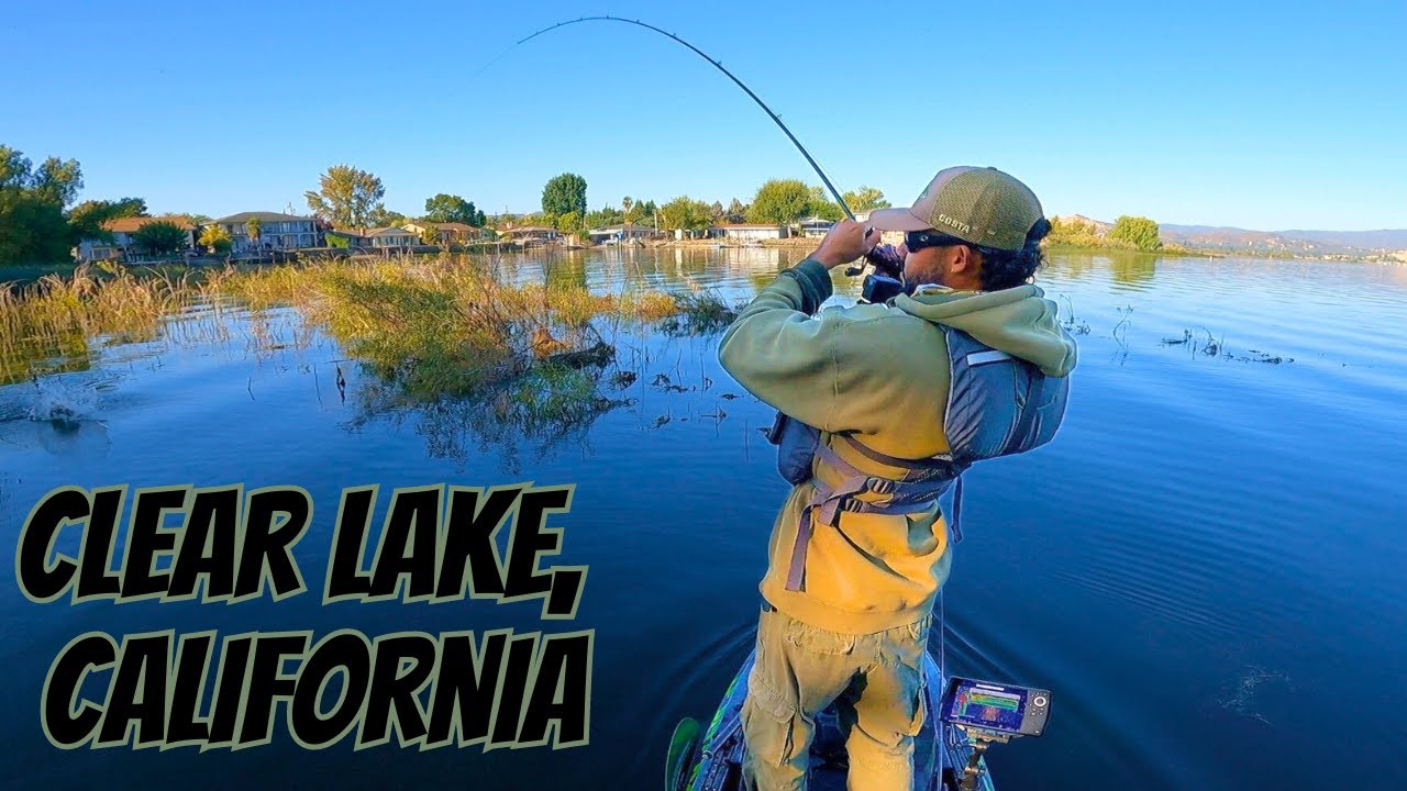 The Dark Side of Late Summer Bass Fishing on Clear Lake