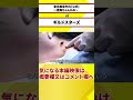 【ドクターA執刀】ギルドスターズ 南えみり豊胸手術 #お金持ちの息子の親父 #麻生泰 #豊胸 #Shorts