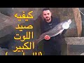 كيفيه صيد اللوت الكبير اللجاجي 