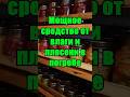 Самое мощное средство от влаги и плесени в погребе #огород #дача #сад #погреб #урожай #лайфхак