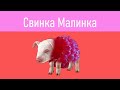 СВИНКА-МАЛИНКА_RASPBERRY-PIG