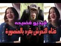 #بالفيديو#فضيحه جنسيه لامرأة تتحرش بقرد فى المنصورة