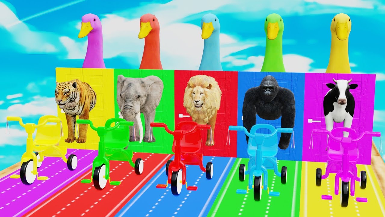 5 Giant Duck Cartoon, Cow, Elephant, Lion, Dinosaur, Paint Wild Animals Crossing Fountain Animations