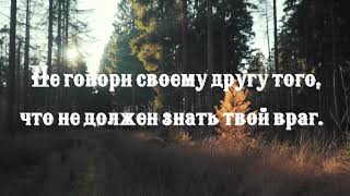 Ценна не слава, а то, чем она заслужена. Артур Шопенгауэр