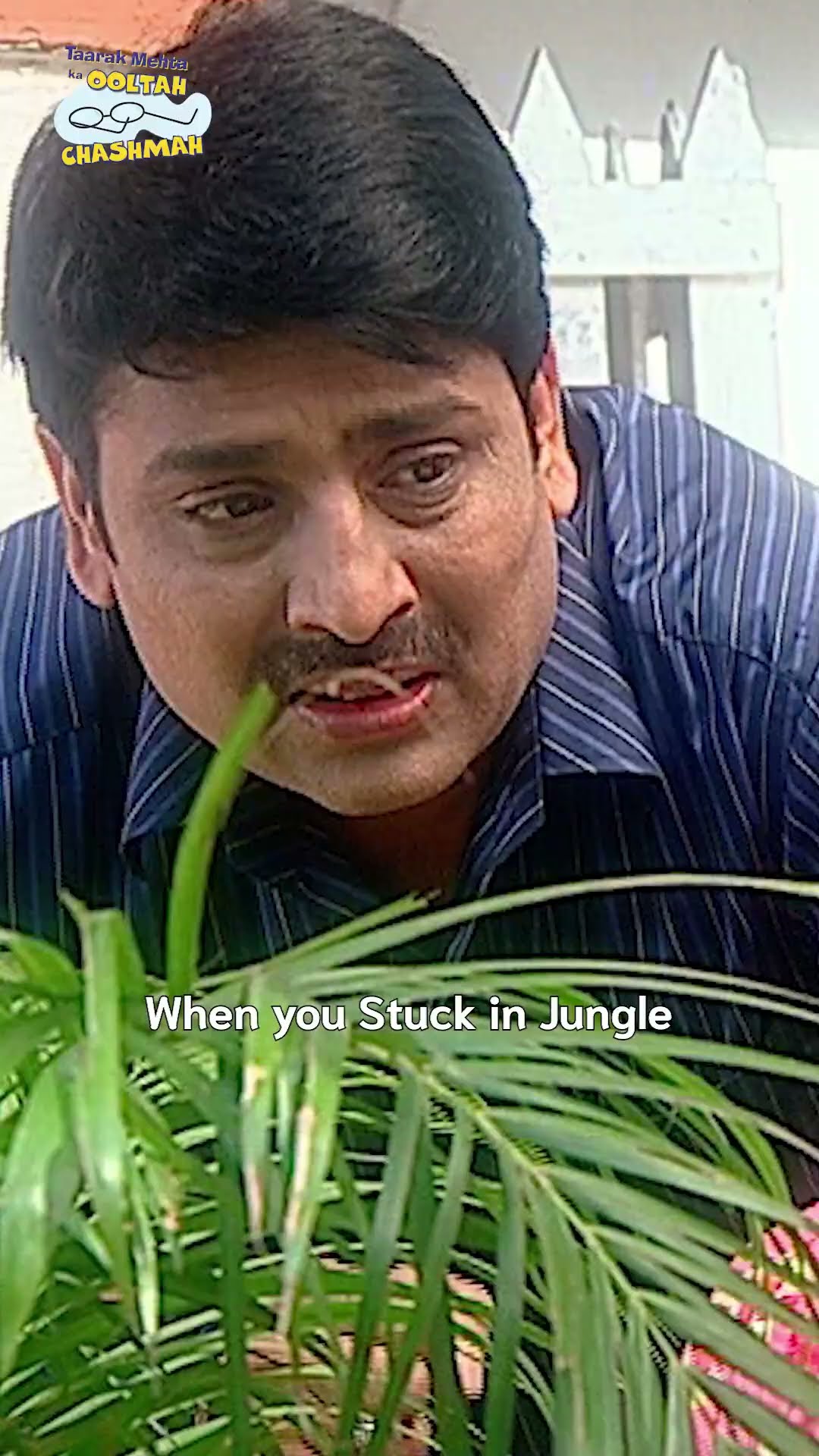 Share if you relate! #tmkoc #comedy #relatable #shorts #comedyvideo #funny #makarsankranti