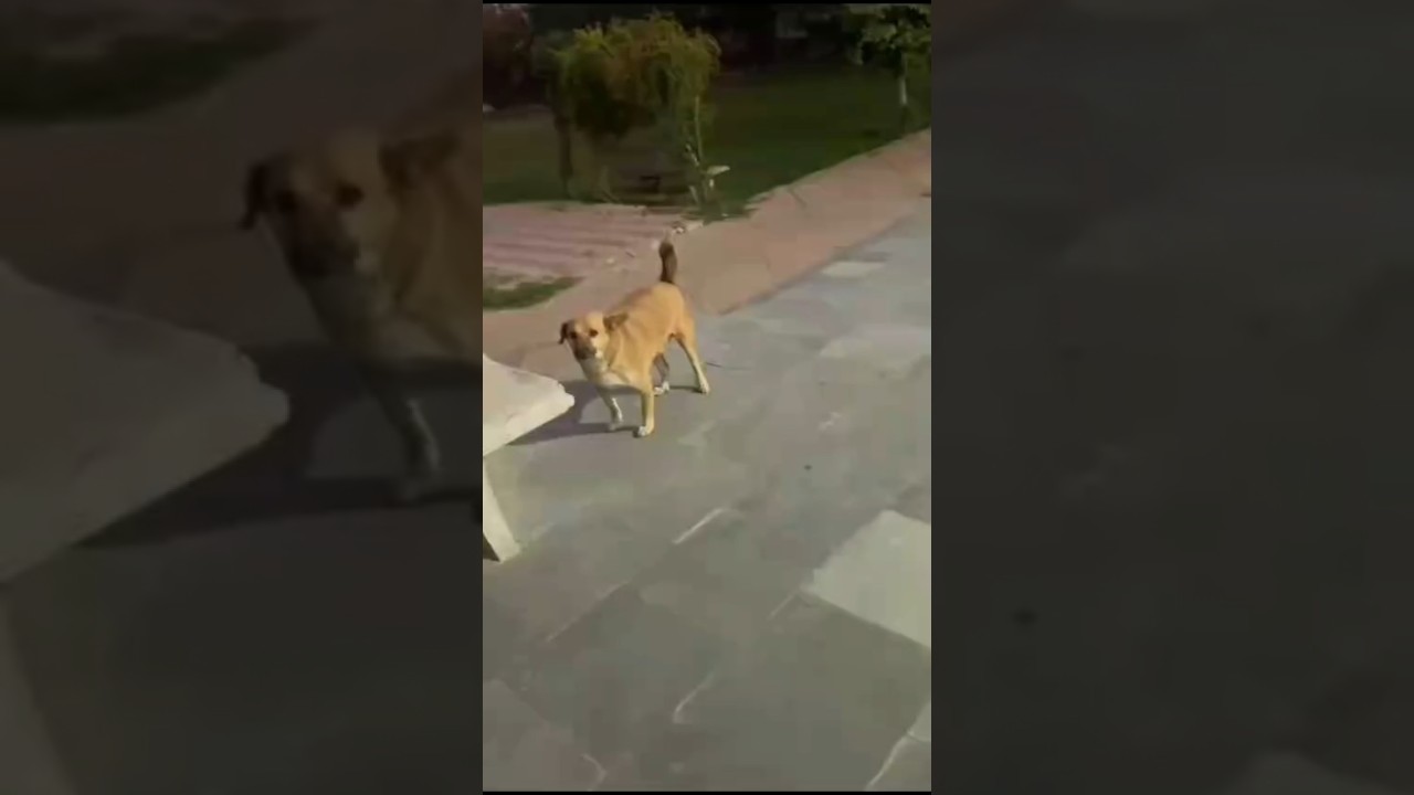 Don't open comments🔥🤯 