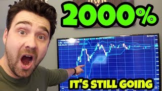 HOW to FIND MONSTER PENNY STOCKS | JANUARY 2019 | MID-DAY Market Recap