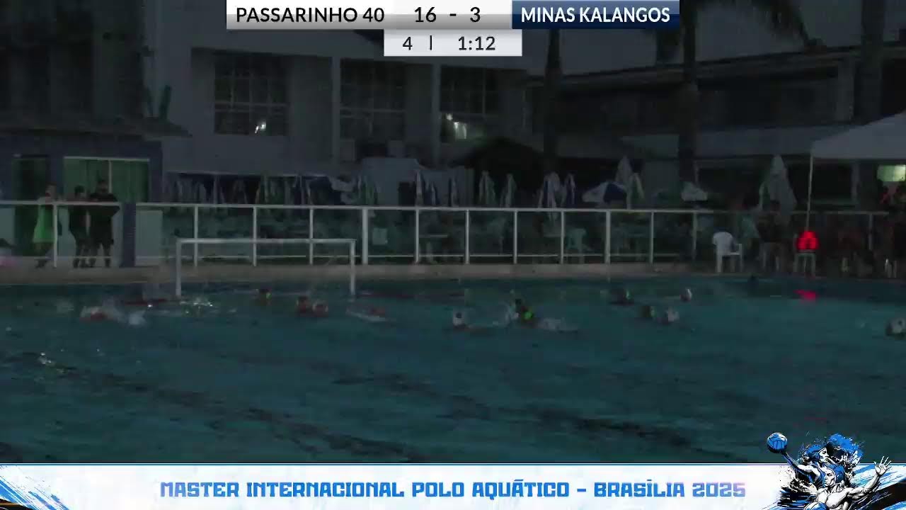 PASSARINHO 40 X MINAS KALANGOS (SF40)