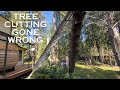 Tree falls wrong way.