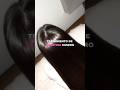 La KERATINA CASERA que CAMBIARÁ tu CABELLO PARA SIEMPRE. Tratamiento NATURAL #cuidadodelcabello #FYP