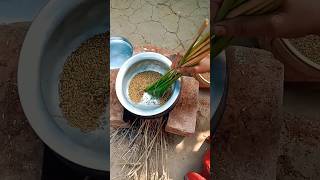 TRADITIONAL STYLE || TRADITIONAL COOKING ||