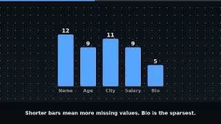 Visualizing Missing Data - missingno library