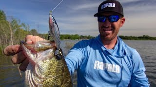 Target B With Single Prop Topwater Baits