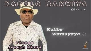 KULIBE WAMUYAYA - Phungu Joseph Nkasa
