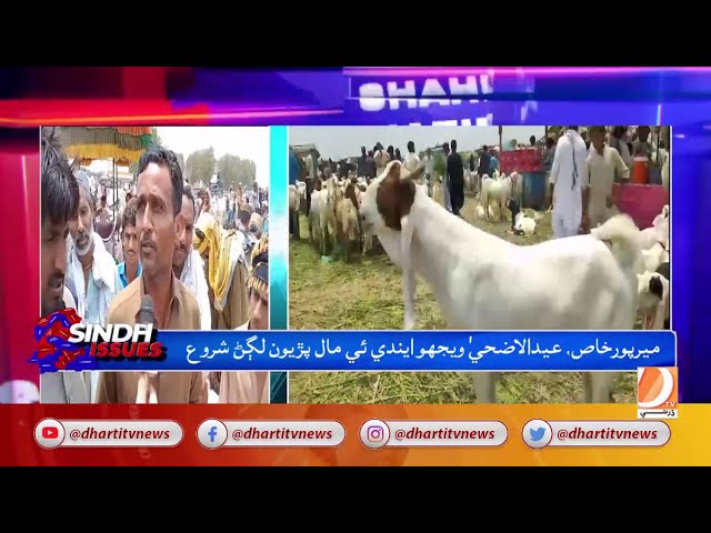 Mirpurkhas: Eid al-Adha Wejho Ende He Maal Preon Lagarn Shuru || Sindh Issues || 05-06-2023 ||
