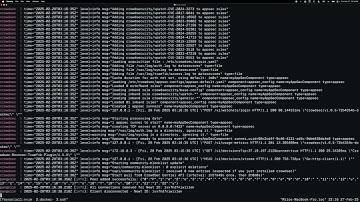 Automatic Crowdsec Installation With Traefik in Pangolin