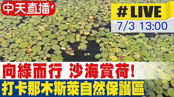 【中天直播#LIVE】向綠而行 沙海賞荷! 打卡那木斯萊自然保護區 20230703  @Global_Vision - 天天要聞