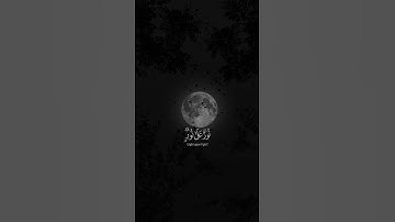 القارئ : شريف مصطفى #شريف_مصطفى #قرآن #السعودية