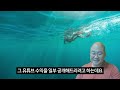 유튜브 수익, 조회수 광고수익만 목표로 하다가는 이렇게 됩니다 | 대형유튜버들의 수익 구조