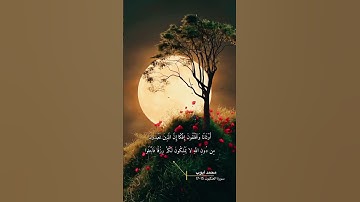 سورة العنكبوت الاية 15-17